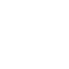 LIMITED EDITION 1950