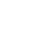 LIMITED EDITION 1951