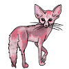 Pink Desert Fox Fennec