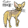 Little desert fox - Cute much?