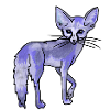 Magical Desert Fox, Blue