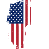 Gitarre USA Patriot