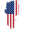 USA Flag Guitar