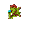 Frog Toad Jungle Jungle Gift