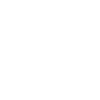 LIMITED EDITION 1955