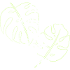 Frog Toad Jungle Jungle Cadeau