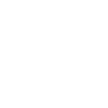 LIMITED EDITION 1960