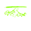 Quadfahrer Quad