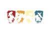 Quad Quadfahrer