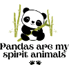 Pandas Are My Spirit Animal