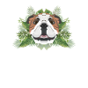 Tropical English Bulldog