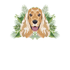 Tropical English Cocker Spaniel