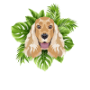 Tropical English Cocker Spaniel