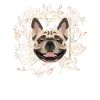 Golden Dog French Bulldog