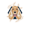Golden Dog Cocker Anglais Spaniel