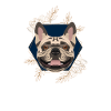 Golden Dog French Bulldog