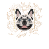 Golden Dog French Bulldog