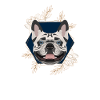 Golden Dog French Bulldog