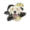 Golden Dog Golden Retriever
