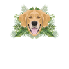 Tropical Golden Retriever