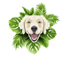 Tropical Golden Retriever