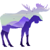 Moose