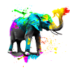 Safari Art Elephant