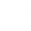 FPV Drone