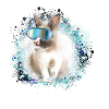 schneehase ,blau,skifahren,ski,hase,schnee