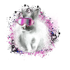 schneehase ,rosa,rosa,skifahren,ski,hase
