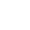 American Cocker Spaniel « Black Edition »