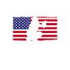Softball US Flag