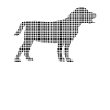 Chien