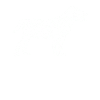 Chien