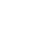 Kangaroo
