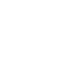 Orangutan
