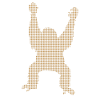 Orang Utan