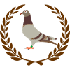 Rotbraune Brieftaube im Lorbeerkranz-Logo voo