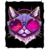 Katze mit Sonnenbrille