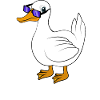 Ente cool Spruch