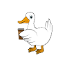 Duck coffee saying