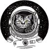 Cosmonaut cat