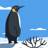Pinguin im Schnee