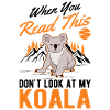 Koala Gift Koala Bear