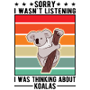 Koala Gift Koala Bear
