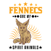Fennek Spirit Animal Desert Fox