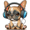 Français Bulldog avec écouteurs