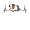Guinea pig heartbeat