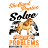 Shetland Pony Gift Shetty
