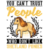 Shetland Pony Cadeau Shetty